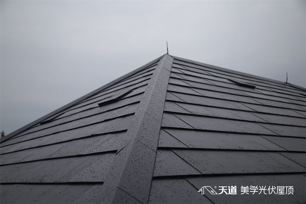 天道美學(xué)光伏屋頂項目案例-上海虹橋御墅.jpg
